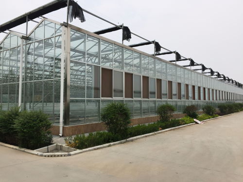 玻璃溫室大棚常用配套系統及用途解析與專業安裝服務介紹