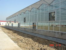 專業安裝，堅固耐用 鋼結構文絡型溫室大棚的建造與安裝服務詳解