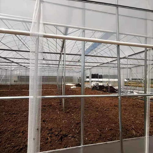 專業農業設施建設 梁河養雞大棚、科創菊花溫室與高效安裝服務一體化解決方案