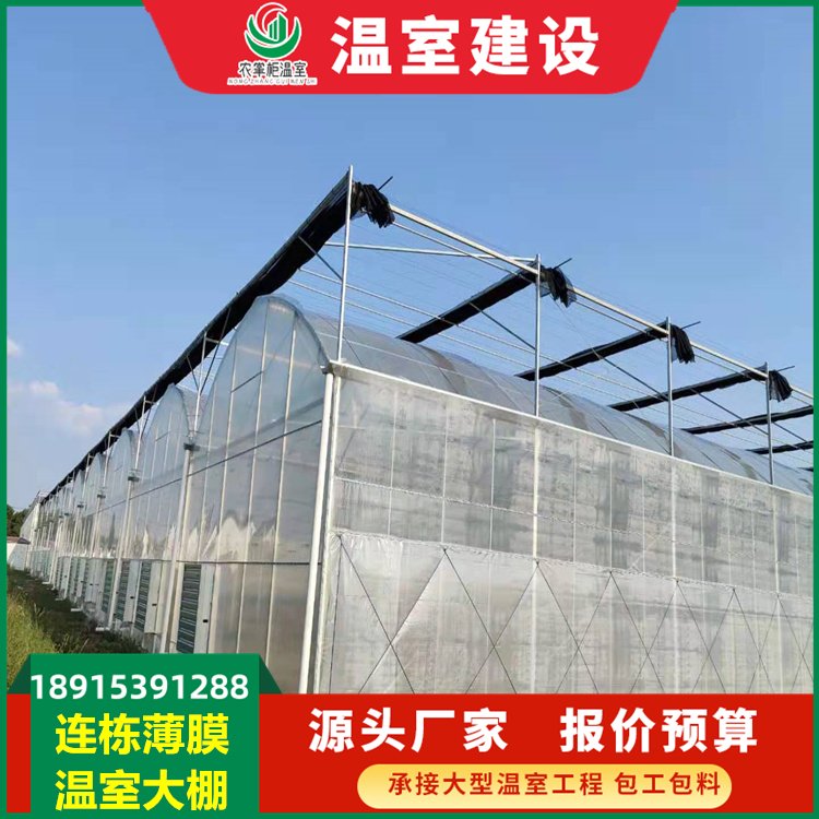 連棟薄膜溫室大棚 現代農業的高效選擇與安裝服務指南